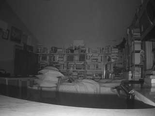voyeurcam bridgetleewalters 02